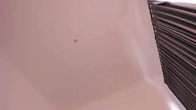 Timissi's Live XXX Chat