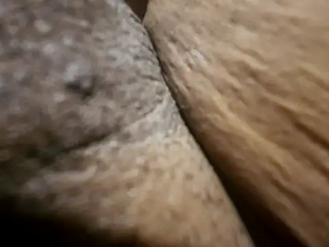 Swapurcrm's Live XXX Chat