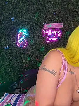 Show de webcam de RenaThickAss