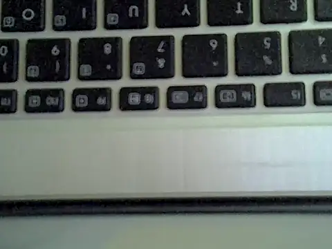 Delicious-D webkamerás műsora