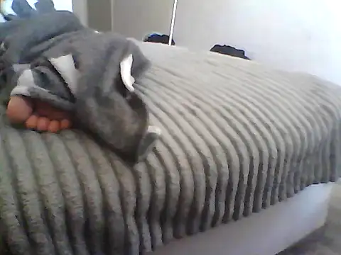 Tom4Womans 라이브 XXX 채팅