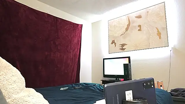 Mrkarizma's Webcam Show