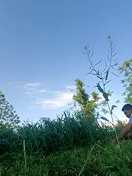 Sharmasamba: διαδικτυακό σόου στην κάμερα