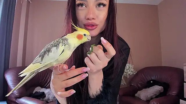 عرض كام KaylaLaine