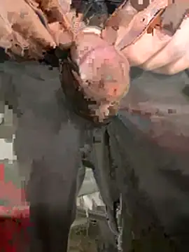 M87HOT live XXX chat