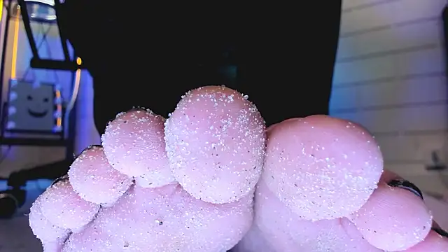 AphexQueen Obrolan Langsung XXX