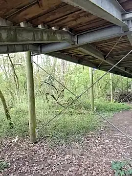 twitshe Live XXX Chat