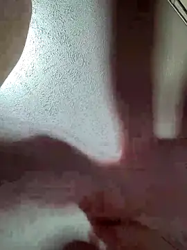 Show Webcam de woosterbryant