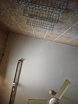 Bigkannan Pertunjukan Webcam