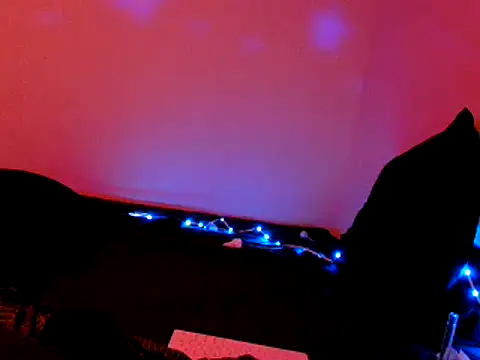 Iscariot19 라이브 XXX 채팅