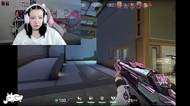 Chat +18 de MollysLand ao vivo