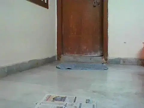 Webkamerová show nbolla1