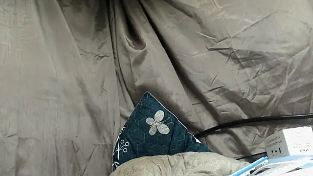 Camodick 网络视讯表演