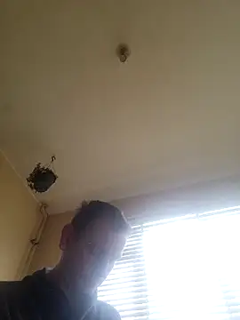 Chat XXX en directo de piercingpik