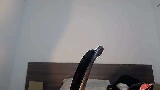 Mila_cams1_ élő XXX-chatje