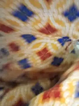 Darling8008 在線直播表演