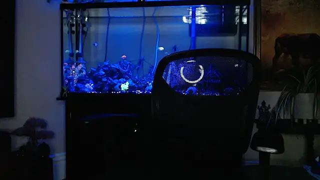 Онлайн чат XXX EspanolVato