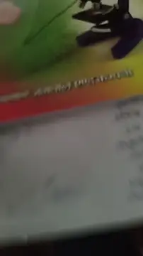 xyz_2giT 라이브 XXX 채팅