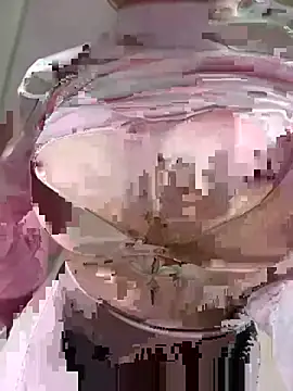 Ambra0531 Adlı Modelin Canlı XXX Sohbeti