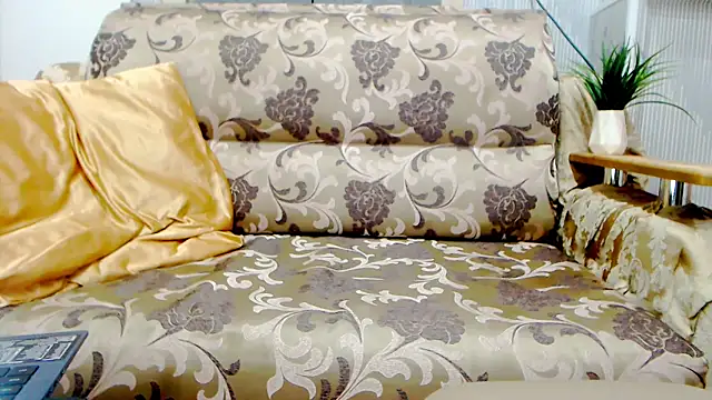 Show Webcam de Live_View