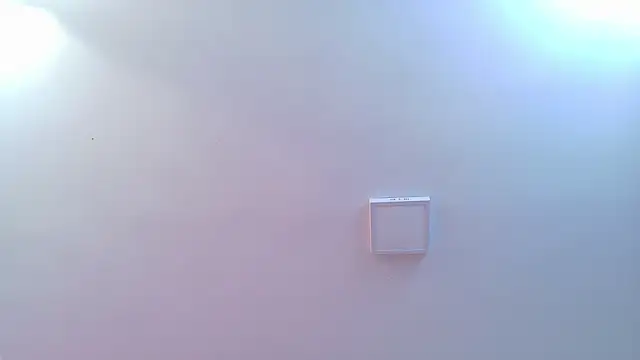 Elian_savoy Pertunjukan Webcam