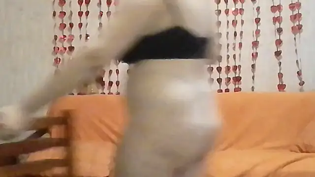 دردشة Miyabeee الجنسية المباشرة