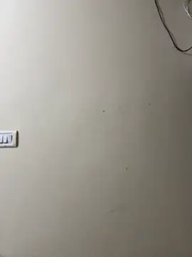 Modelbigbobs' Live XXX Chat