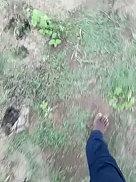 dolphiinn 现场XXX聊天