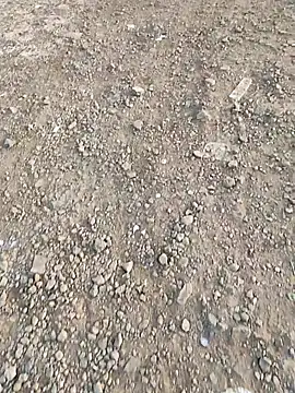 Desi_Small_Dick 在線直播表演