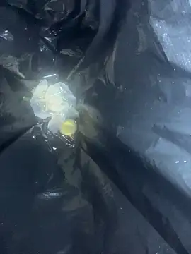 Chatroom XXX en direct de littleqiu