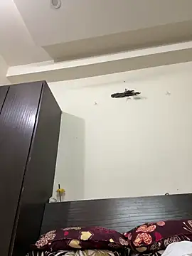 raavigirl Chat XXX live