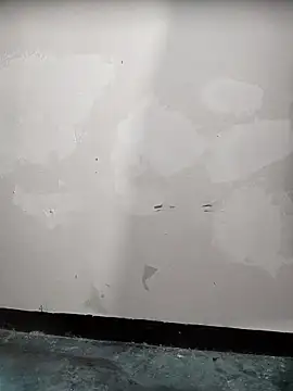 Shona_babu- Pertunjukan Webcam