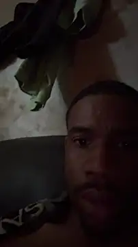 willie896n Webbikameraesitys