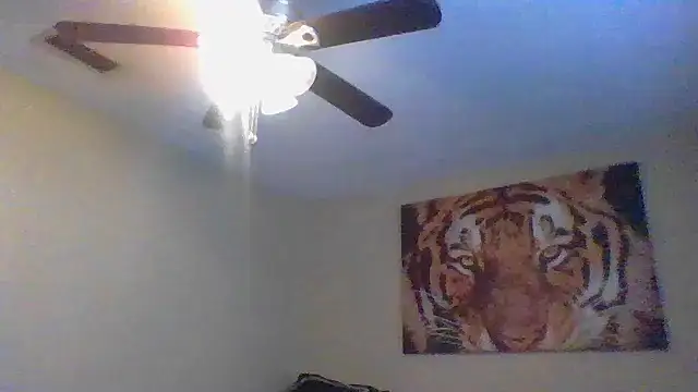 KingDes55 Show in webcam