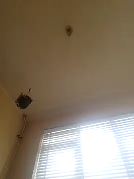 piercingpikn Live XXX chat