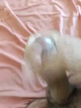 Show de putopau15 na webcam