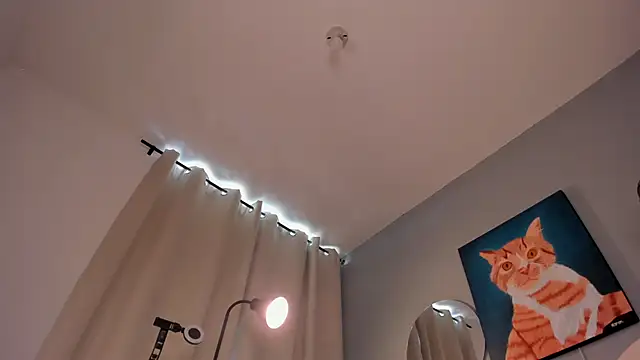 Chat +18 de LiaPearce ao vivo