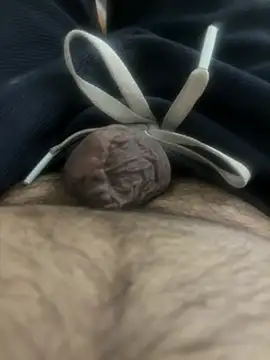 vmmalton Webbikameraesitys