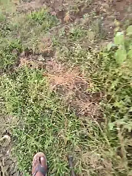 Webkamerová show himvilohi08