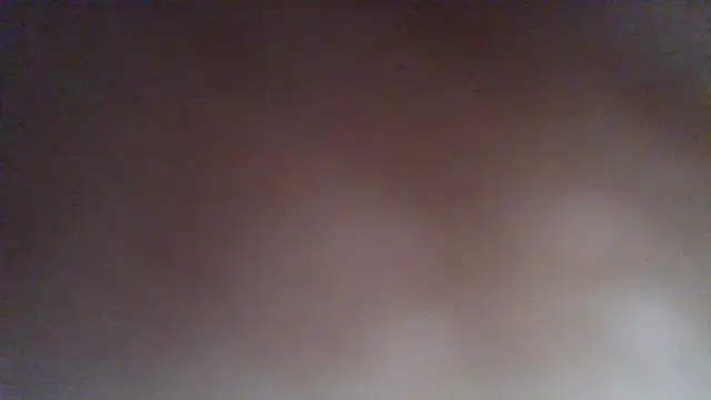 Show webcam de sashachin