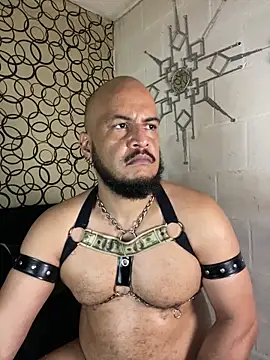 the_master_foal_ Live XXX-chat