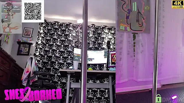 Shesborked 即時 XXX 聊天