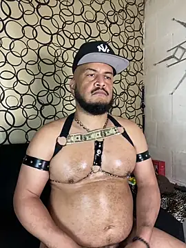 Show Webcam de the_master_foal_