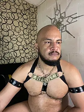 the_master_foal_ 网络视讯表演