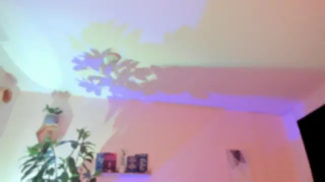 دردشة YariRose الجنسية المباشرة