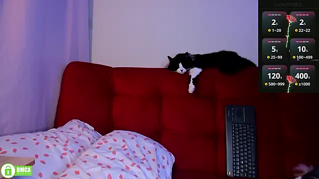 ohpetitemuse Chat XXX live