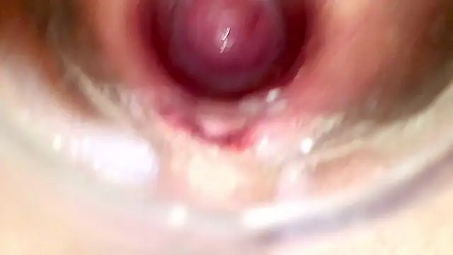 Chat +18 de karol_kane ao vivo