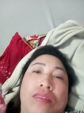 Toadc 网络视讯表演