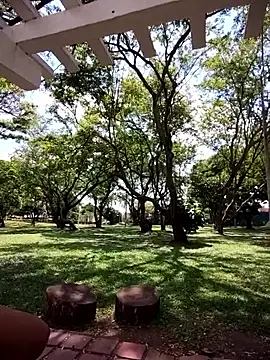 Grandeygruesa1: διαδικτυακό σόου στην κάμερα