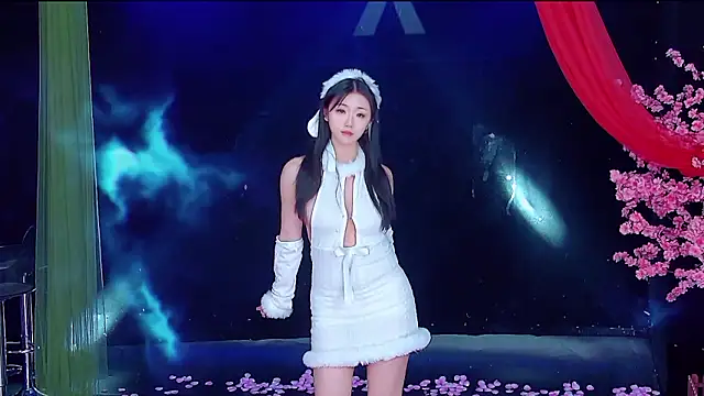 LC-999 Pertunjukan Webcam